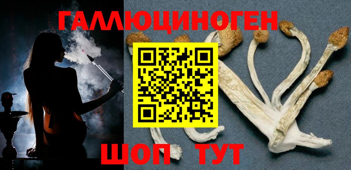 Псилоцибиновые грибы ЛСД  Вход с VPN  Брянск  цена   Псилоцибиновые грибы мухоморы 