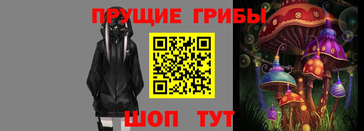 Псилоцибиновые грибы Psilocybine cubensis Брянск